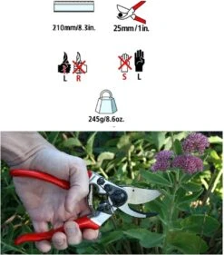 Felco 2 + GRATIS Felco Handschoenen In Cadeauverpakking -Tuingereedschap 1056x1200 1