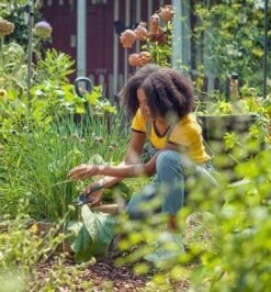 GARDENA - ExpertCut - Snoeischaar - 22 Diameter Tak -Tuingereedschap 1116x1200 1