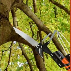 Gardebruk Takkenzaag Telescopisch - 2in1 Zaag & Snoeischaar - Oranje -Tuingereedschap 1189x1200 6