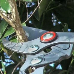 WOLF-Garten Takkenschaar POWER CUT RR*** 900 T - Lengte 650-900mm - Telescoop - Aluminium Hefboomarmen - 4x Meer Kracht - Messpanning Instelbaar -Tuingereedschap 1200x1194