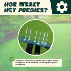 Merkloos Gazonbeluchtingssandalen Premium - Gazonbeluchter - Beluchter - Gazonverluchter - Gazonpriksandalen - Verticuteerroller - Graszaad - Gazonmest - Kerstcadeau - Voor Mannen - Voor Vrouwen - Cadeautjes- Vaderdag Cadeau- Geschenk- Cadeautjes -Tuingereedschap 1200x1197 11