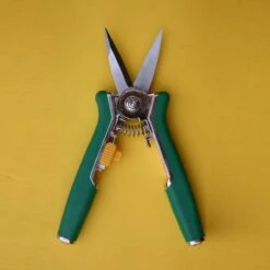 Bloemenschaar- Snoeischaar Recht Green Arrow 6238 -Tuingereedschap 1200x1200 264