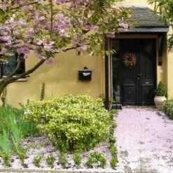 Talen Tools - Voetenveger - Dubbel - Harde Kunststof Borstels -Tuingereedschap 1200x1200 597