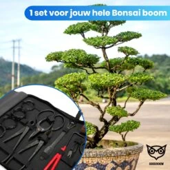 Good2know Bonsai Gereedschap Set – 16 Delig – Bonsai Starters Kit – Bonsai Boompje Verzorgingskit - Tuingereedschap -Tuingereedschap 1200x1200 926