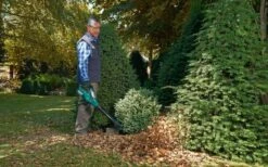 Bosch ALB 36 LI - Bladblazer - Met 36 V Accu En Lader 15 Bosch ALB 36 LI - Bladblazer - Met 36 V Accu En Lader -Tuingereedschap 1200x747