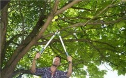 Gardena EasyCut Takkenschaar 68B + Classic Snoeischaar 8754 Display 1stuk 12003-30 -Tuingereedschap 1200x749 2