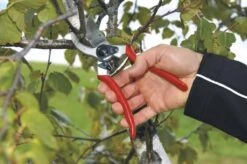 Felco 2 Snoeischaar - Rechtshandig - Max. Knipdiameter 25 Mm - Lengte 215 Mm -Tuingereedschap 1200x796 6