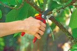 WOLF-Garten Snoeischaar "Premium Plus" RS 4000 - Aambeeld - Max. Knipdiameter 25 Mm - Links- En Rechtshandige - Softinleg Handgreep - Snijhoek 30° - Voor Grote Handen - Vervangbare Messen En Aambeeld -Tuingereedschap 1200x798 10