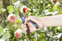 GARDENA Comfort B/M Bypass Snoeischaar - Ø 24mm - Met Sapgeul -Tuingereedschap 1200x799 104