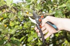 GARDENA - Comfort B/S-XL Bypass - Snoeischaar - Ø 24 Mm - 25 Jaar Garantie -Tuingereedschap 1200x799 77