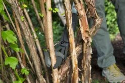 GARDENA - SlimCut Takkenschaar -28mm- Met Hefboommechanisme -Tuingereedschap 1200x799 83