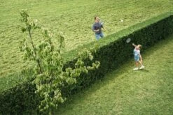 Bosch AHS 50-20 Accu Heggenschaar - Met 1 X 18 V Accu En Lader -Tuingereedschap 1200x800 113