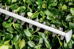 Bosch UniversalHedgeCut 60 Heggenschaar - Op Snoer - Lengte 60 Cm -Tuingereedschap 1200x800 119