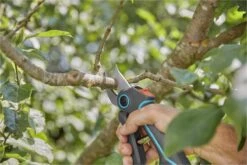 GARDENA AssistCut Snoeischaar- Ø 25mm -Tuingereedschap 1200x800 137