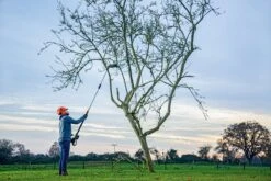 Bosch UniversalHedgePole 18 Heggenschaar Op Steel - Met 18 V Accu En Lader -Tuingereedschap 1200x800 144