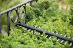 Bosch UniversalHedgeCut 18-55 Heggenschaar - Zonder 18V Accu En Oplader -Tuingereedschap 1200x800 158