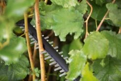 Bosch UniversalHedgeCut 18-55 Heggenschaar - Zonder 18V Accu En Oplader -Tuingereedschap 1200x800 161