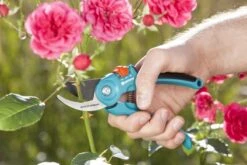 GARDENA - Classic B/S-M Bypass Snoeischaar - Ø 22mm - 25 Jaar Garantie -Tuingereedschap 1200x800 168