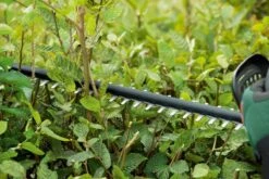 Bosch UniversalHedgeCut 18-50 Heggenschaar - Met 18 V Accu En Lader -Tuingereedschap 1200x800 177