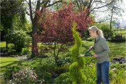 GARDENA PrecisionCut Buxusschaar - Meslengte 18 Cm - Vormsnoeien -Tuingereedschap 1200x800 187