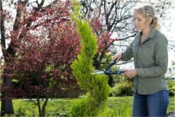 GARDENA PrecisionCut Buxusschaar - Meslengte 18 Cm - Vormsnoeien -Tuingereedschap 1200x800 188