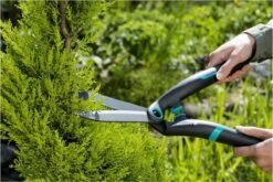 GARDENA PrecisionCut Buxusschaar - Meslengte 18 Cm - Vormsnoeien -Tuingereedschap 1200x800 189