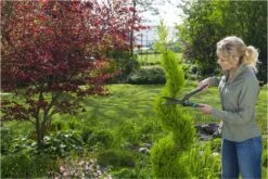 GARDENA PrecisionCut Buxusschaar - Meslengte 18 Cm - Vormsnoeien -Tuingereedschap 1200x800 191