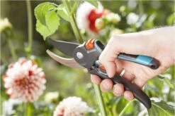 GARDENA Comfort B/M Bypass Snoeischaar - Ø 24mm - Met Sapgeul -Tuingereedschap 1200x800 204