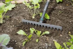 Gardena NatureLine Hark | 36 Cm | FSC 100% - 17106-20 -Tuingereedschap 1200x800 282