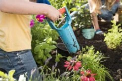 GARDENA Bollenplanter - Diepteaanduiding - Automatische Aardeloslating -Tuingereedschap 1200x800 283