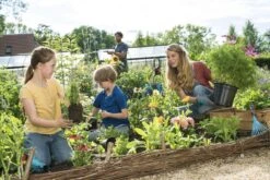 GARDENA Combisystem Bladharkje - Werkbreedte 12 Cm - 25 Jaar Garantie -Tuingereedschap 1200x800 286