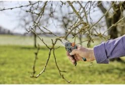 GARDENA - ExpertCut - Snoeischaar - 22 Diameter Tak -Tuingereedschap 1200x815 1