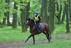 Aqua2Go GD86 Staand Electrische Pressure Washer - 20 Liter Tank - Afneembare Pomp -Tuingereedschap 1200x817 1