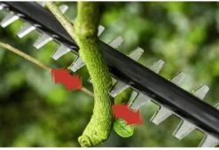 Bosch UniversalHedgePole 18 Heggenschaar Op Steel - Met 18 V Accu En Lader -Tuingereedschap 1200x823