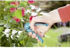 GARDENA - Classic B/S-M Bypass Snoeischaar - Ø 22mm - 25 Jaar Garantie -Tuingereedschap 1200x825 12