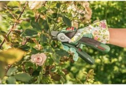 Bosch EasyPrune Accu Snoeischaar - 3.6 V Accu - USB -Tuingereedschap 1200x825 16