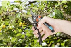 GARDENA - Comfort B/S-XL Bypass - Snoeischaar - Ø 24 Mm - 25 Jaar Garantie -Tuingereedschap 1200x825 3