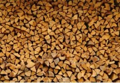 Steko Houtsplijter Voor Grote Blokken - Voor Aanmaakhout & Brandhout - Houtklover - Houtkliever - Splijtwig - Handmatig - Overal Te Gebruiken 1605 Gram - Metaal - Kloofwig - HOGE VOLUMEKORTING 8 Steko Houtsplijter Voor Grote Blokken - Voor Aanmaakhout & Brandhout - Houtklover - Houtkliever - Splijtwig - Handmatig - Overal Te Gebruiken 1605 Gram - Metaal - Kloofwig - HOGE VOLUMEKORTING -Tuingereedschap 1200x837 2