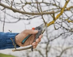 GARDENA - ExpertCut - Snoeischaar - 22 Diameter Tak -Tuingereedschap 1200x929