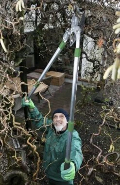 Telescopische Takkenschaar, 6-voudig -Tuingereedschap 775x1200 1