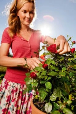 WOLF-Garten Snoeischaar "Premium Plus" RR 4000 - Max. Knipdiameter 22 Mm - Links- En Rechtshandige - Softinleg Handgreep - Snijhoek 30° - Voor Grote Handen - Vervangbare Messen -Tuingereedschap 799x1200 24