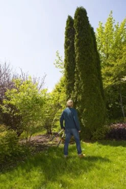 GARDENA TeleCut Heggenschaar - Telescopische Handgrepen Van 70-90 Cm -Tuingereedschap 799x1200 44