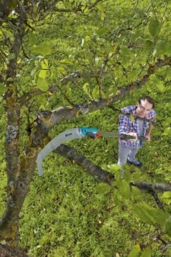 GARDENA Combisysteem Snoeizaag 300PP Curved Takkenzaag - Meslengte 315 Mm - Exclusief Verlengstok -Tuingereedschap 799x1200 71