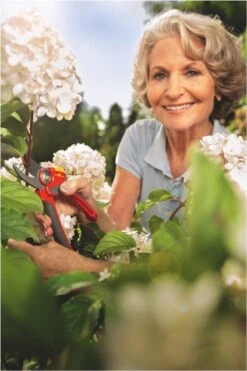 WOLF-Garten Snoeischaar "Premium Plus" RR 4000 - Max. Knipdiameter 22 Mm - Links- En Rechtshandige - Softinleg Handgreep - Snijhoek 30° - Voor Grote Handen - Vervangbare Messen -Tuingereedschap 800x1200 29