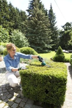 Bosch ISIO Gen III Accu Buxusschaar + Grasschaar -Tuingereedschap 800x1200 30