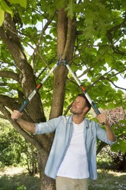 Gardena TeleCut Takkenschaar 650-900 B - Uitschuifbare Armen - Tot Max 90 Cm -Tuingereedschap 800x1200 33