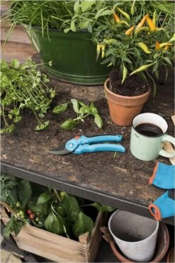 GARDENA - Classic B/S-M Bypass Snoeischaar - Ø 22mm - 25 Jaar Garantie -Tuingereedschap 800x1200 34