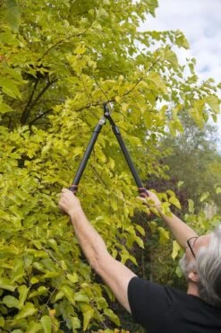 Kreator KRTGR4001 Takkenschaar - 650mm -Tuingereedschap 800x1200 36