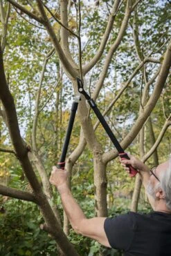 Kreator KRTGR4001 Takkenschaar - 650mm -Tuingereedschap 800x1200 37