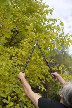 Kreator KRTGR4003 Telescopische Takkenschaar – Jong Hout - Knipdiameter: Ø34 Mm -Tuingereedschap 800x1200 38